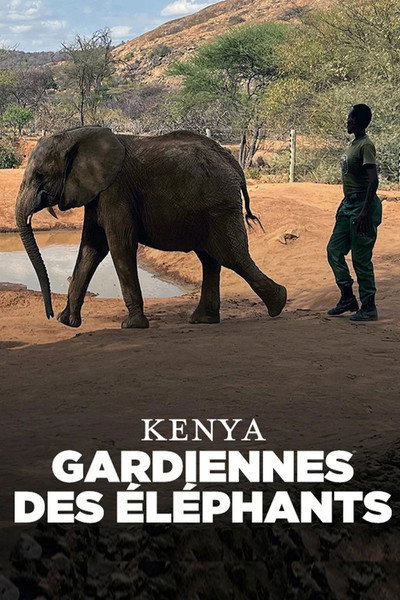 Póster de Kenya - Gardiennes des éléphants