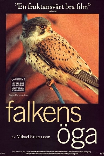 Póster de Kestrel's Eye