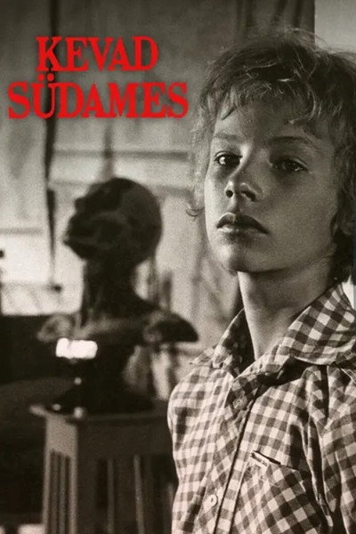 Póster de Kevad südames