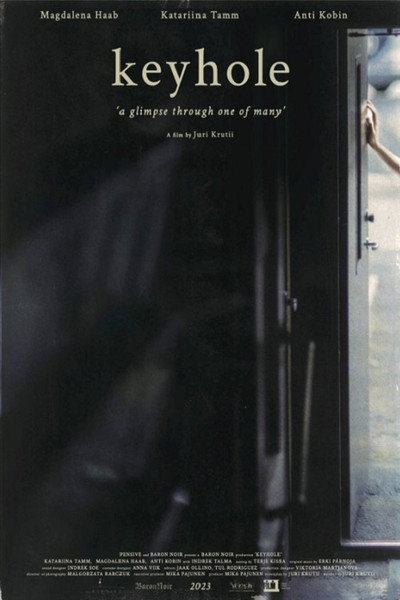 Póster de Keyhole