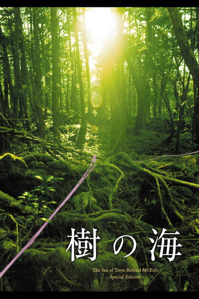 Póster de Ki no umi