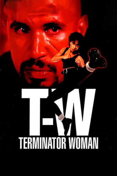 Póster de Kickboxer Terminator