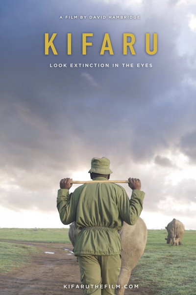 Póster de Kifaru