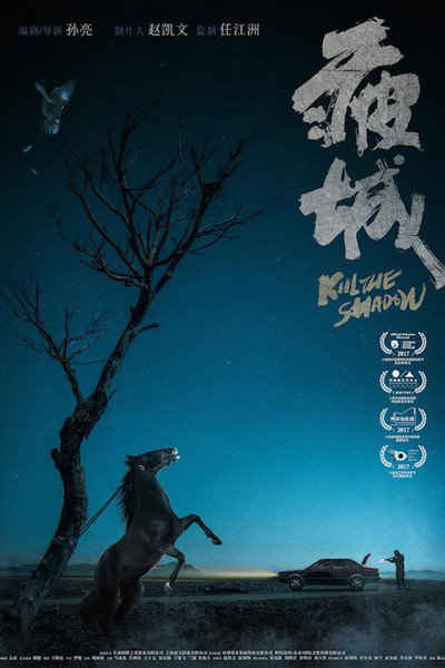 Póster de Kill the Shadow
