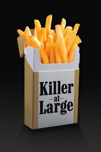 Póster de Killer at Large
