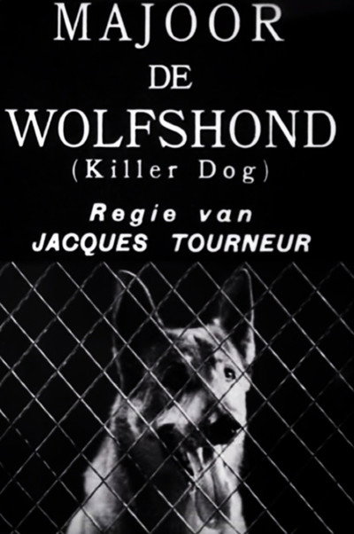 Póster de Killer-Dog
