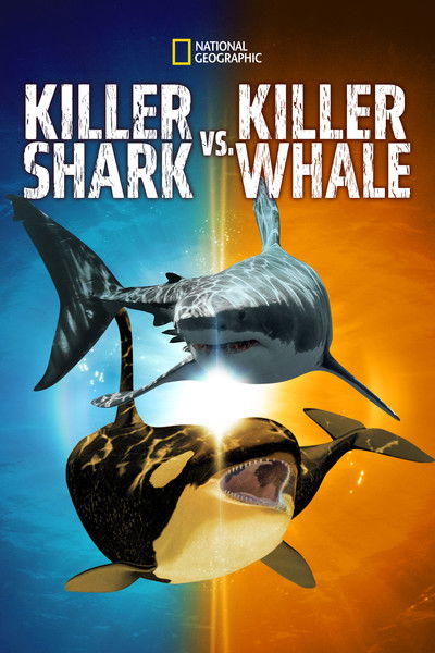 Póster de Killer Shark vs. Killer Whale