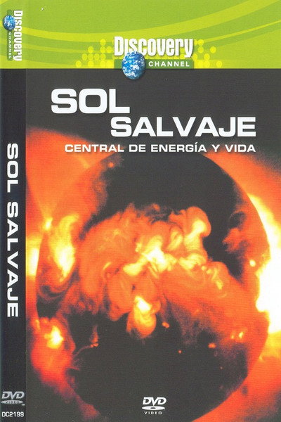 Póster de Killer Sun