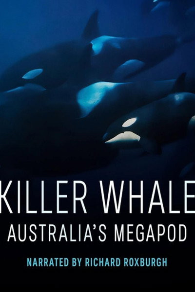 Póster de Killer Whale: Australia's Megapod