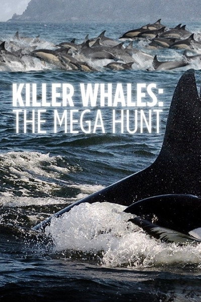 Póster de Killer Whales: The Mega Hunt