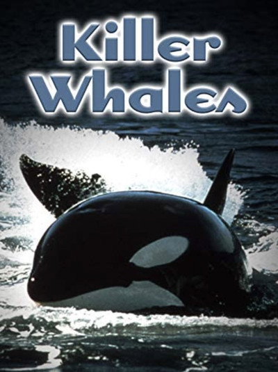 Póster de Killer Whales: Up Close and Personal