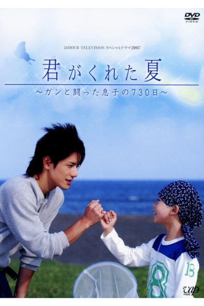 Póster de Kimi ga Kureta Natsu
