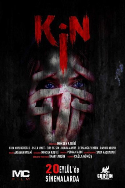 Póster de Kin