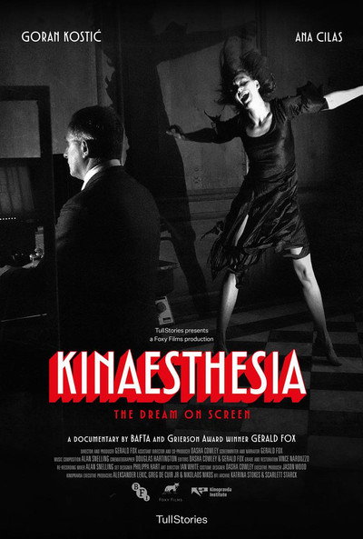 Póster de Kinaesthesia