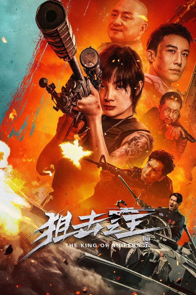 Póster de King of Snipers