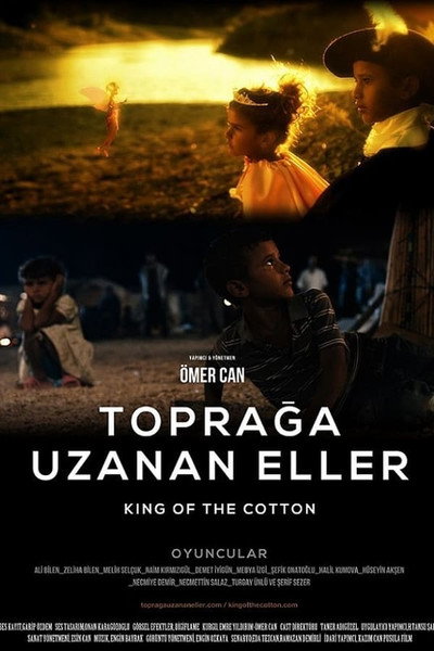 Póster de King of the Cotton