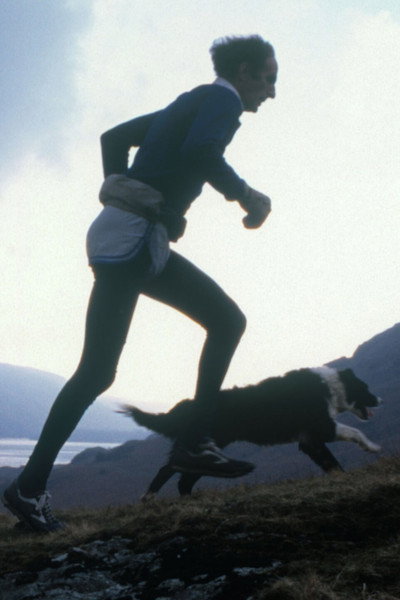 Póster de King of the Fells