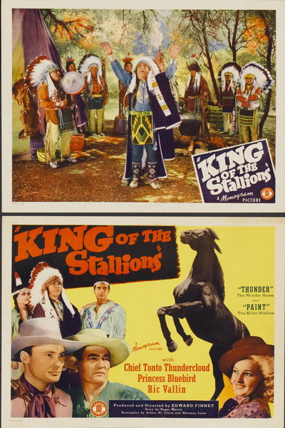 Póster de King of the Stallions