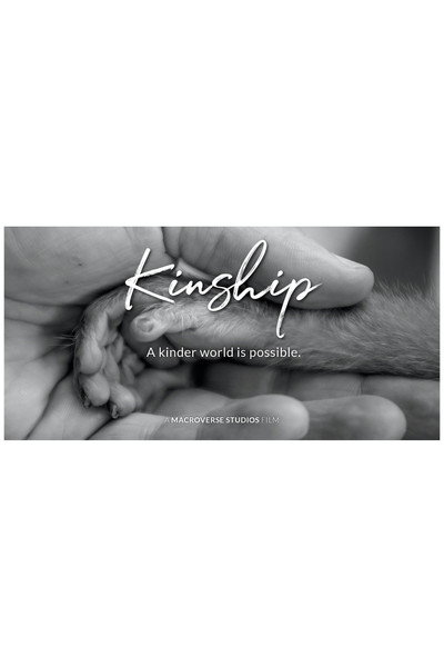Póster de Kinship