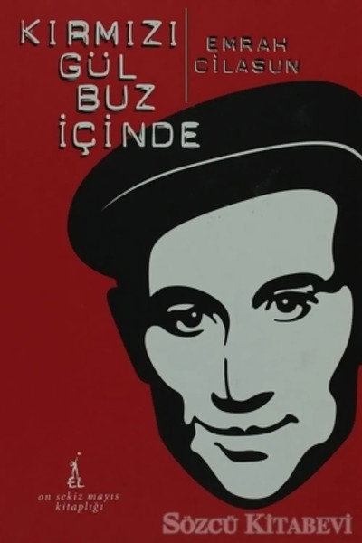 Póster de Kirmizi gül buz içinde