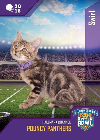 Póster de Kitten Bowl VIII
