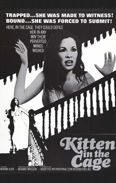 Póster de Kitten in a Cage
