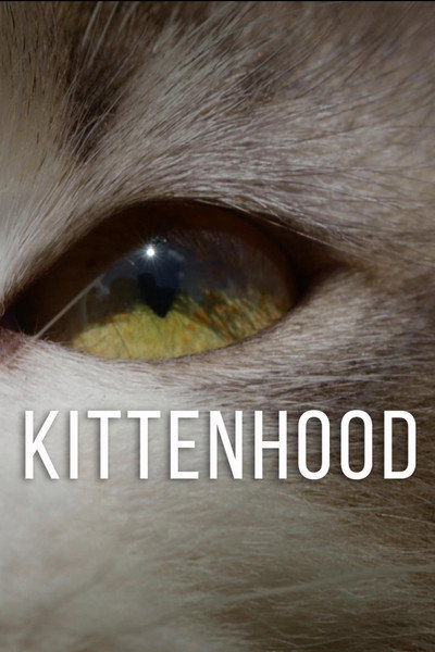 Póster de Kittenhood