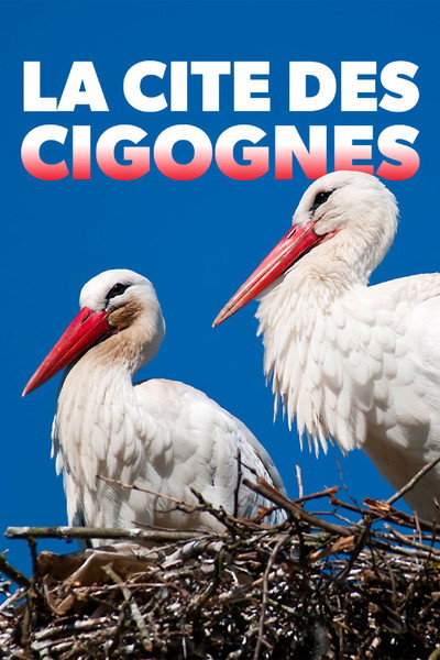 Póster de Klappern gehört zum Geschäft: Europas größtes Storchendorf