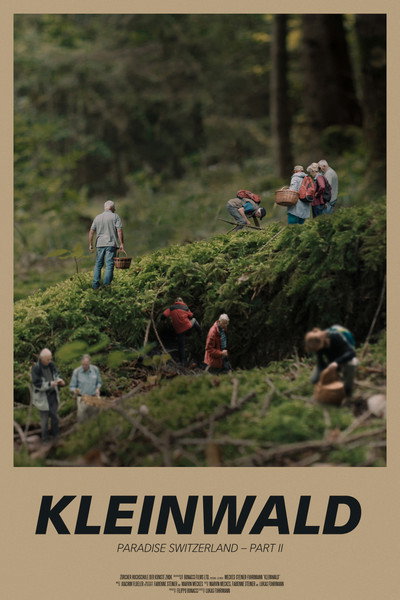 Póster de Kleinwald