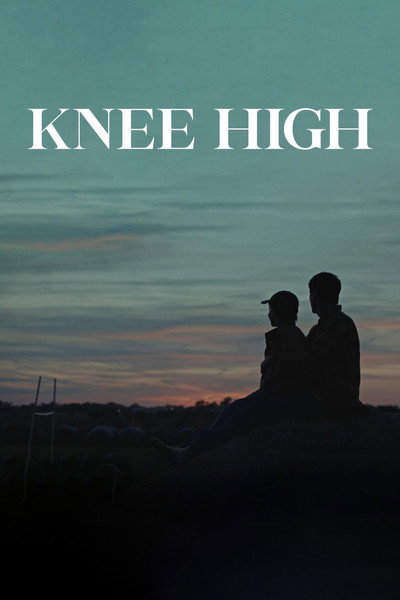 Póster de Knee High