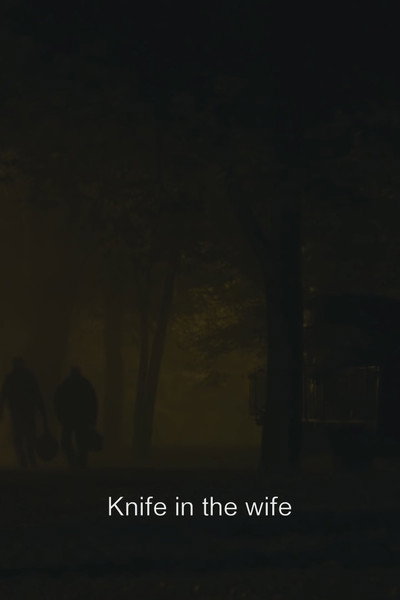 Póster de Knife in the Wife