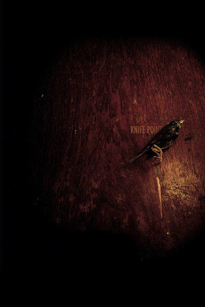Póster de Knife Point