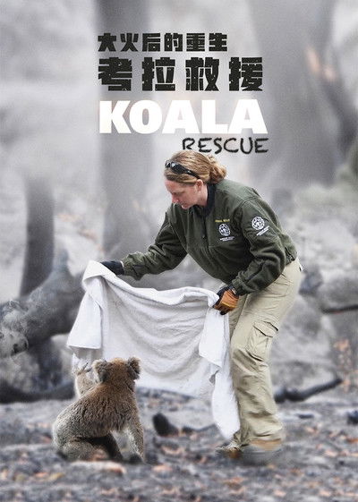Póster de Koala Rescue