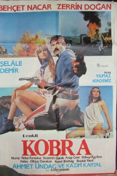 Póster de Kobra