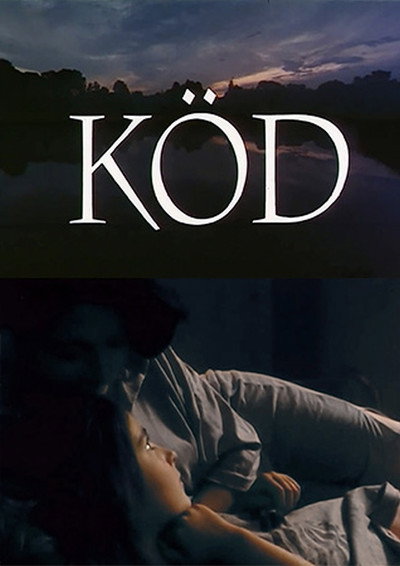 Póster de Köd