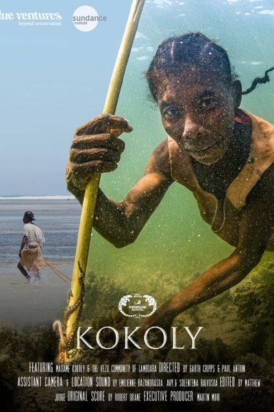 Póster de Kokoly