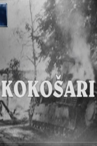 Póster de Kokosari