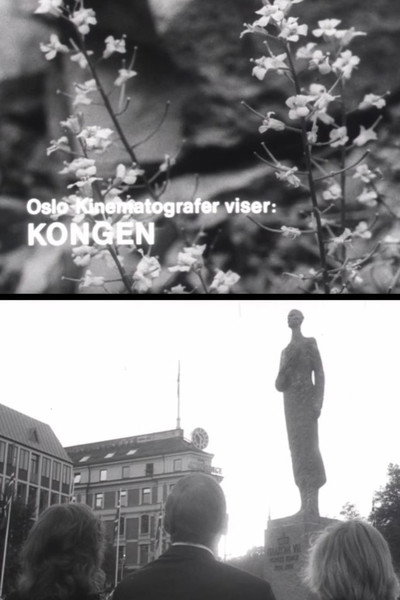Póster de Kongen