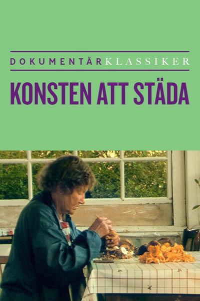 Póster de Konsten att städa