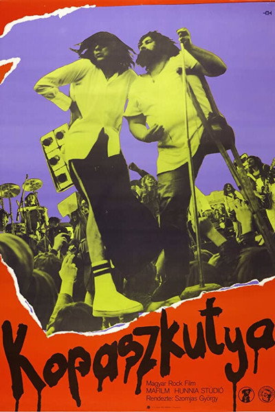 Póster de Kopaszkutya