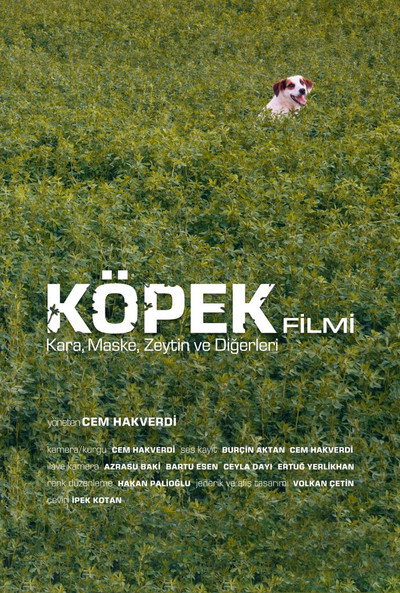 Póster de Köpek filmi