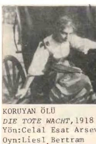 Póster de Koruyan olu