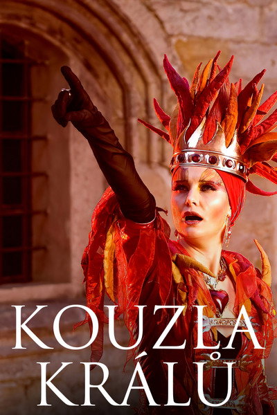 Póster de Kouzla králu