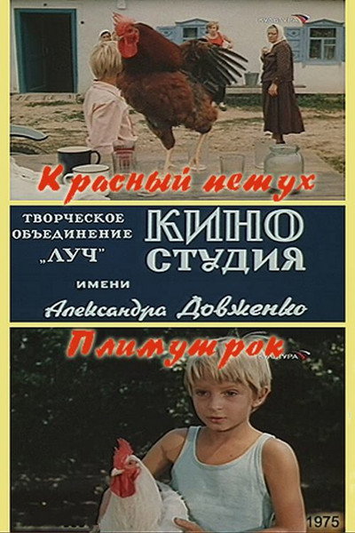 Póster de Krasnyy petukh plimutrok