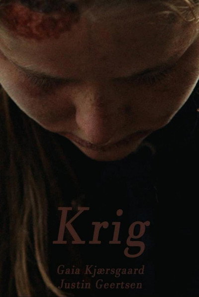 Póster de Krig