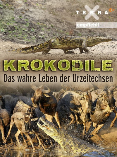 Póster de Krokodile - Das wahre Leben der Urzeitechsen