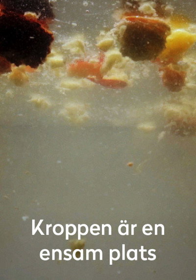 Póster de Kroppen är en ensam plats