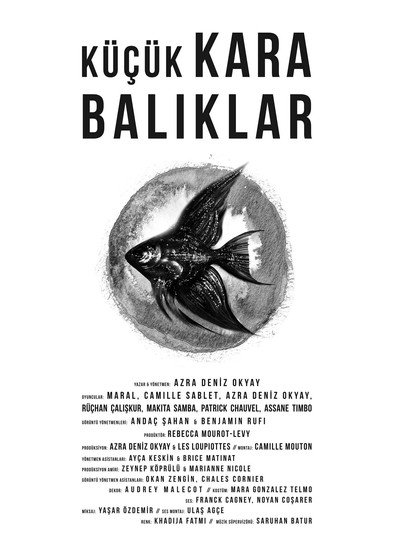 Póster de Küçük kara baliklar
