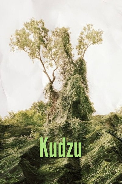 Póster de Kudzu