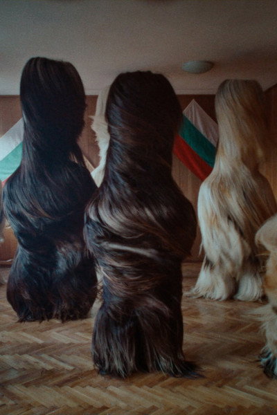 Póster de Kukeri